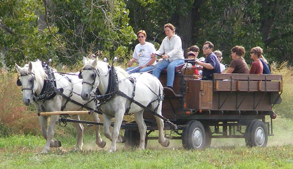 https://rivercrossinginc.tripod.com/firepictures/percherons.jpg